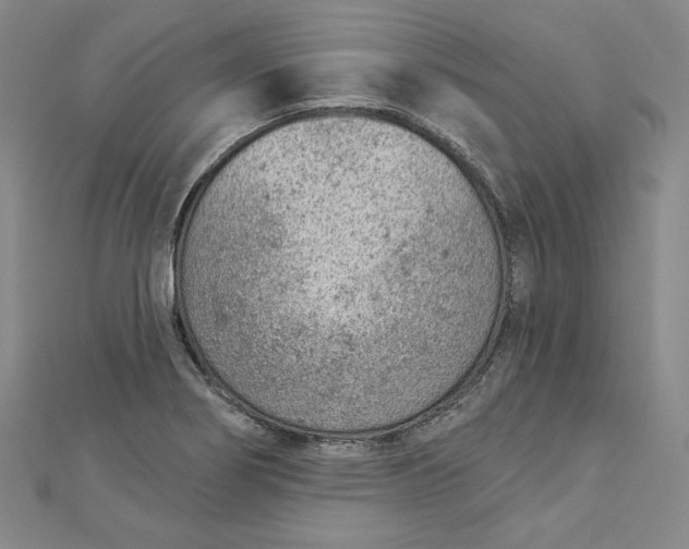 X0000112781274200909031622