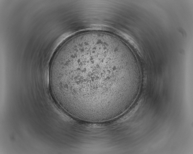 X0000112781275200909031622