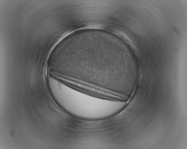 X0000112781276200909031622