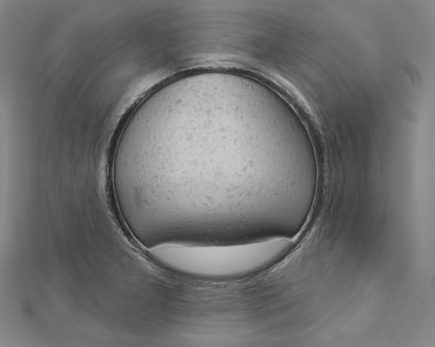 X0000112781277200909031622