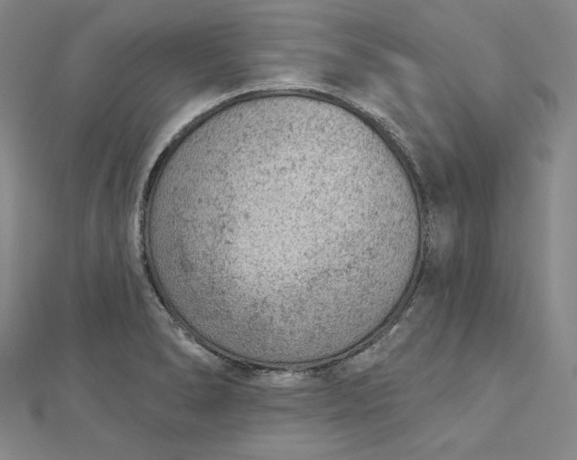 X0000112781278200909031622