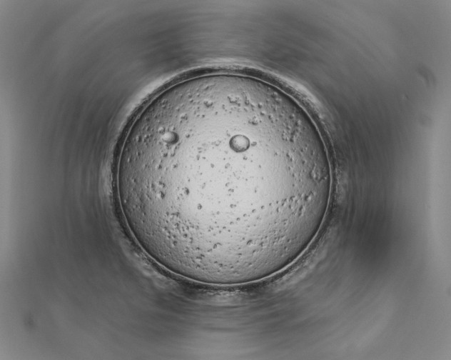 X0000112781279200909031622