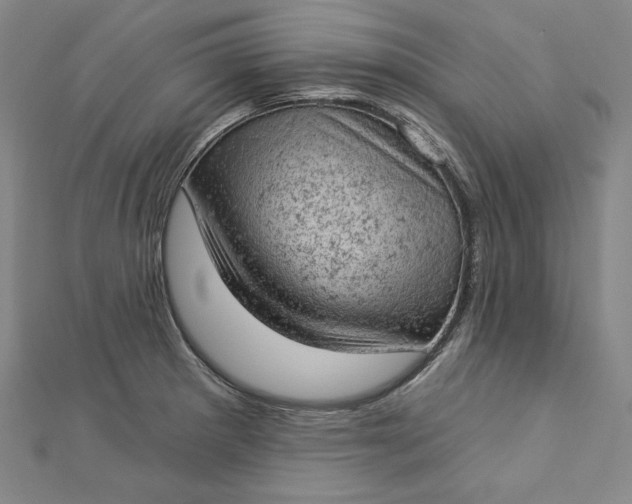 X0000112781281200909031622