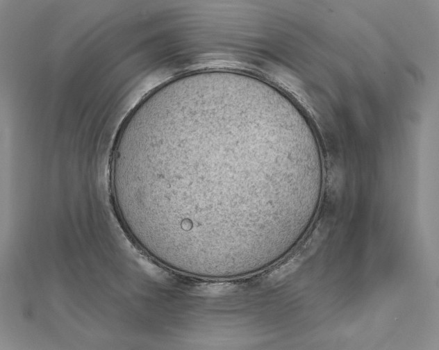 X0000112781282200909031622