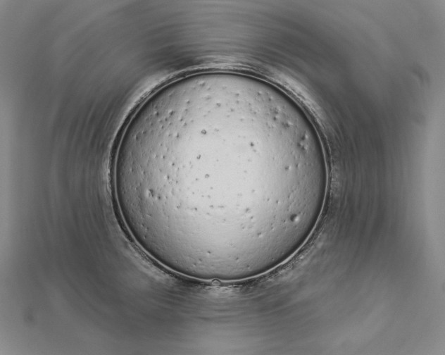 X0000112781283200909031622