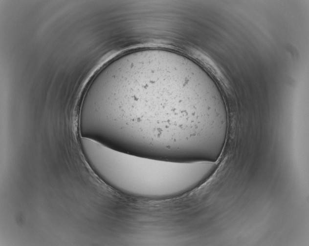 X0000112781284200909031622