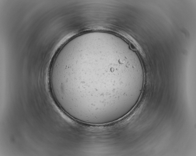 X0000112781285200909031622