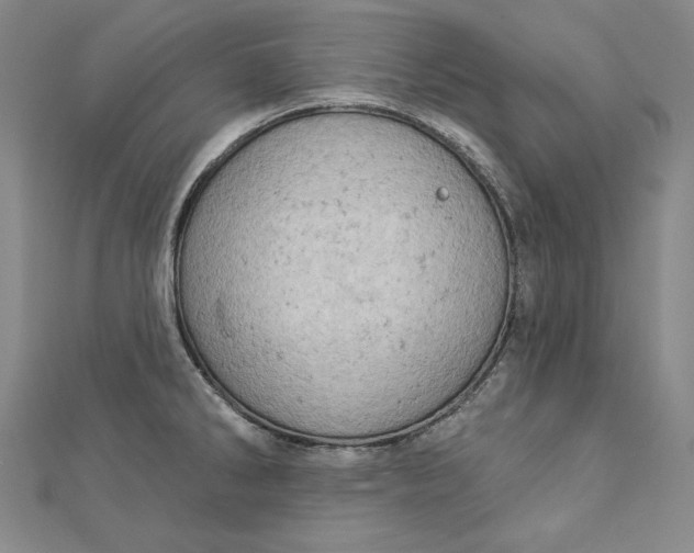 X0000112781286200909031622