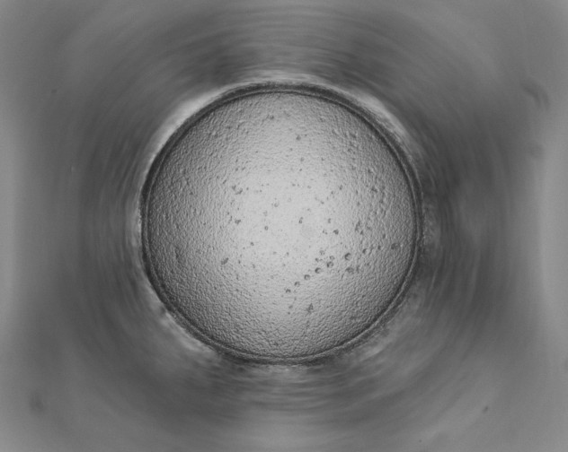 X0000112781287200909031622