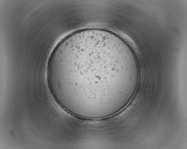 X0000112781288200909031622