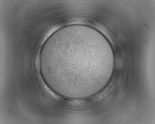 X0000112781290200909031622