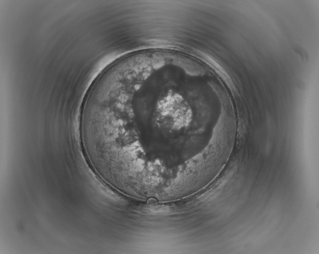 X0000112781291200909031622