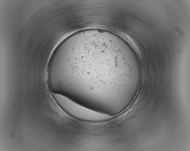 X0000112781292200909031622