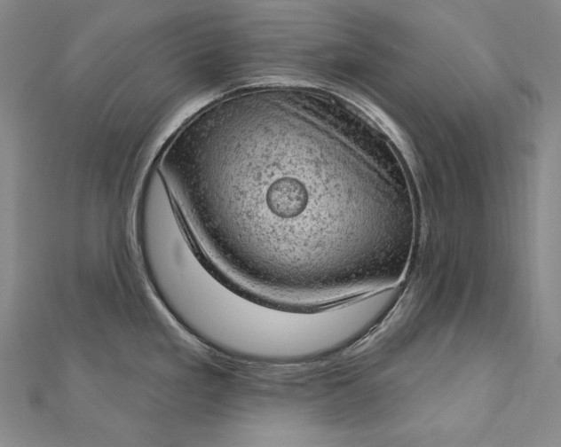 X0000112781293200909031622