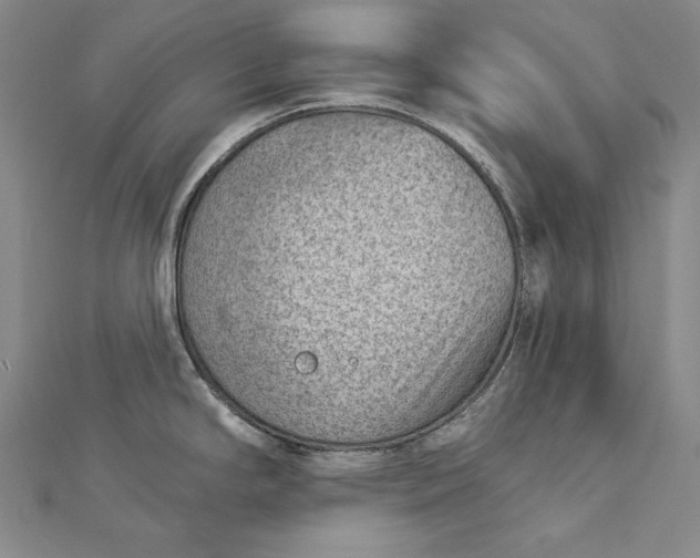 X0000112781294200909031622