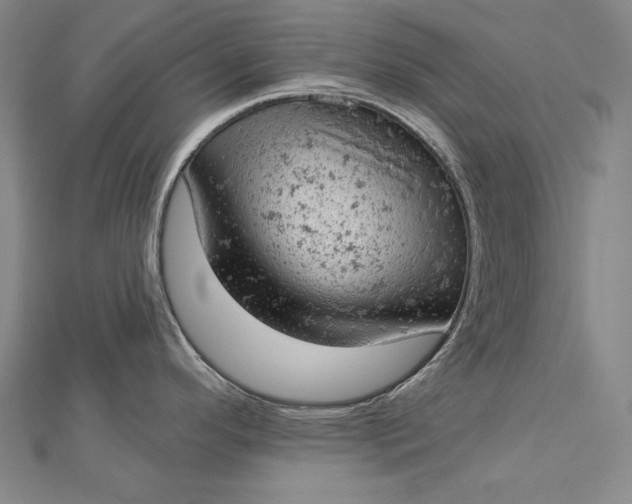 X0000112781296200909031622