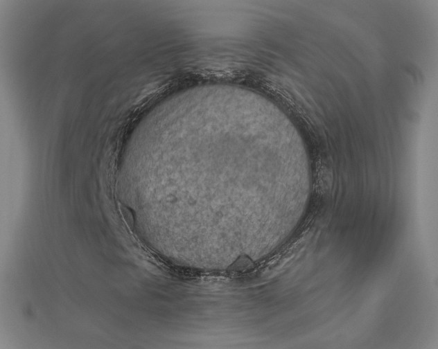 X0000112781297200909031621