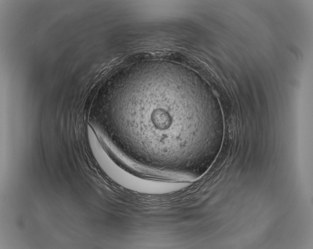 X0000112781298200909031621