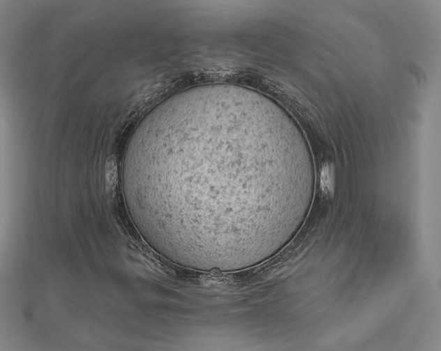 X0000112781299200909031621