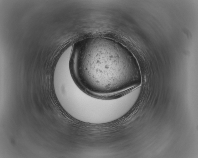 X0000112781300200909031621