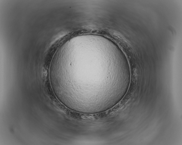 X0000112781302200909031621