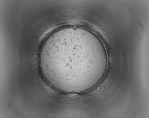 X0000112781304200909031622