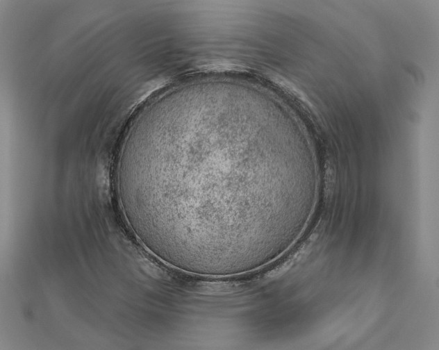 X0000112781305200909031622