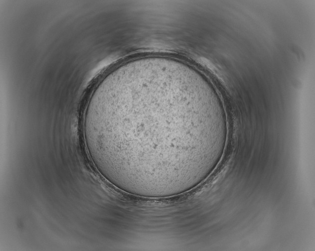 X0000112781307200909031622