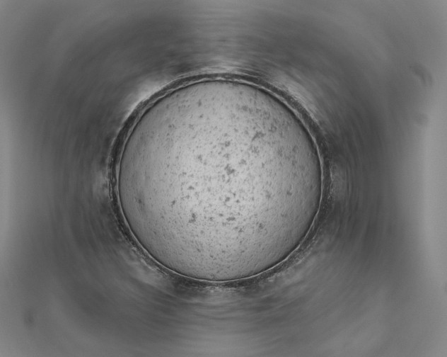 X0000112781308200909031622