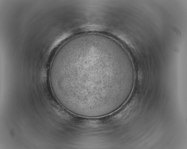 X0000112781309200909031622