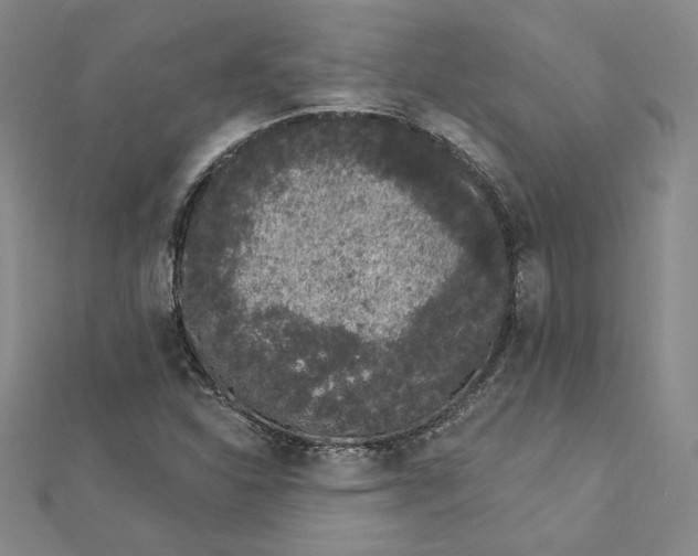 X0000112781310200909031622