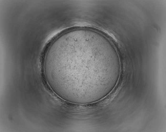 X0000112781311200909031622