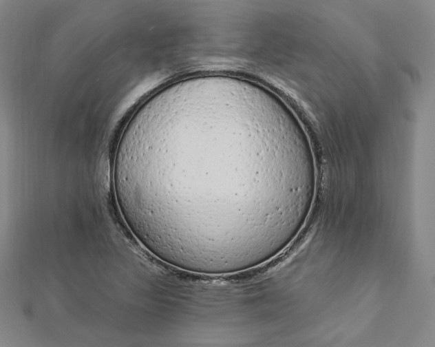 X0000112781317200909031622