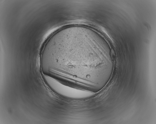 X0000112781320200909031622