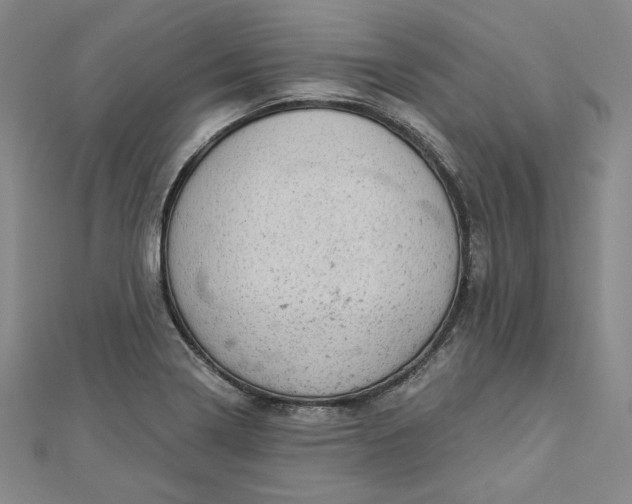 X0000112781322200909031622