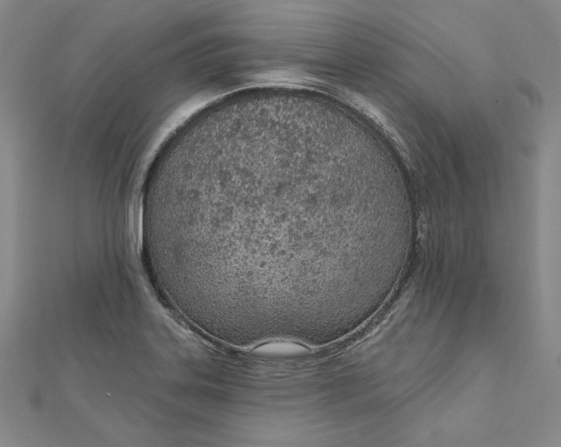 X0000112781323200909031622