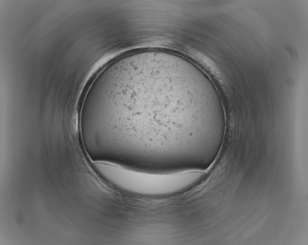 X0000112781324200909031622