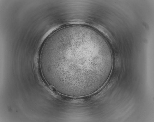 X0000112781325200909031622