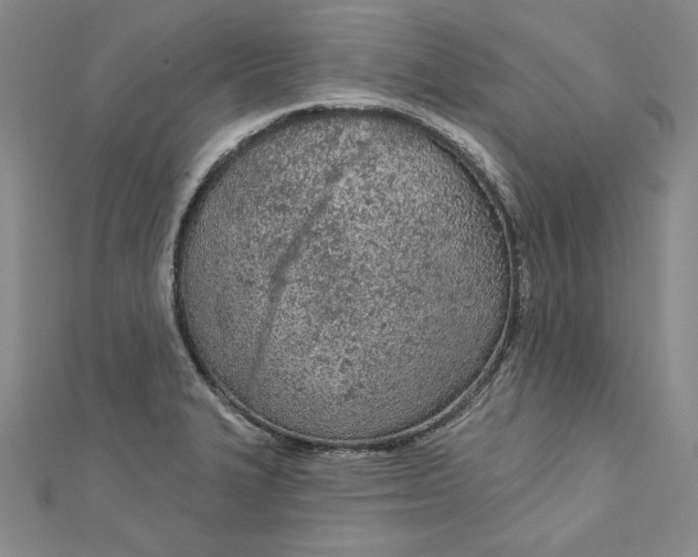 X0000112781327200909031622