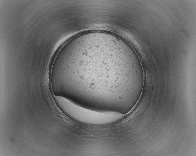 X0000112781328200909031622