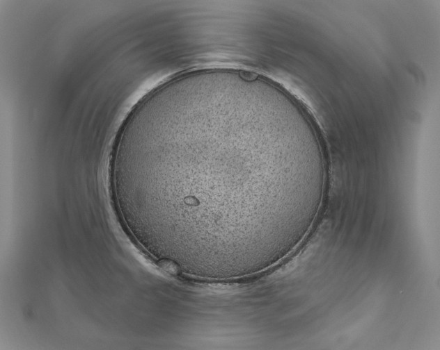 X0000112781333200909031622