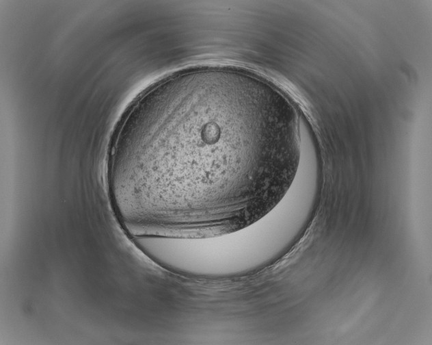 X0000112781334200909031622