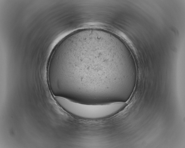 X0000112781336200909031622