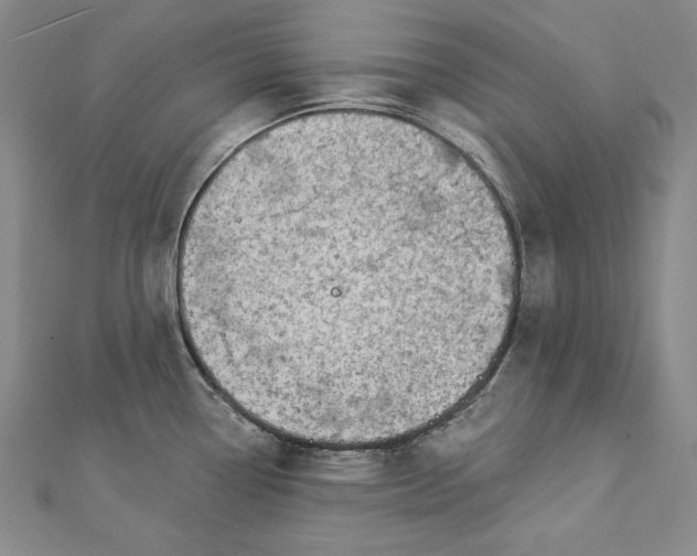 X0000112781338200909031622