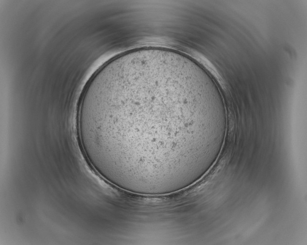 X0000112781339200909031622