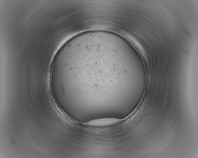 X0000112781340200909031622