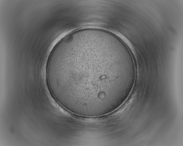 X0000112781341200909031622