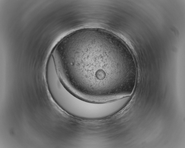 X0000112781342200909031622