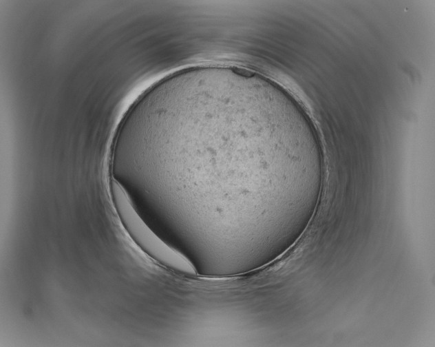 X0000112781344200909031622