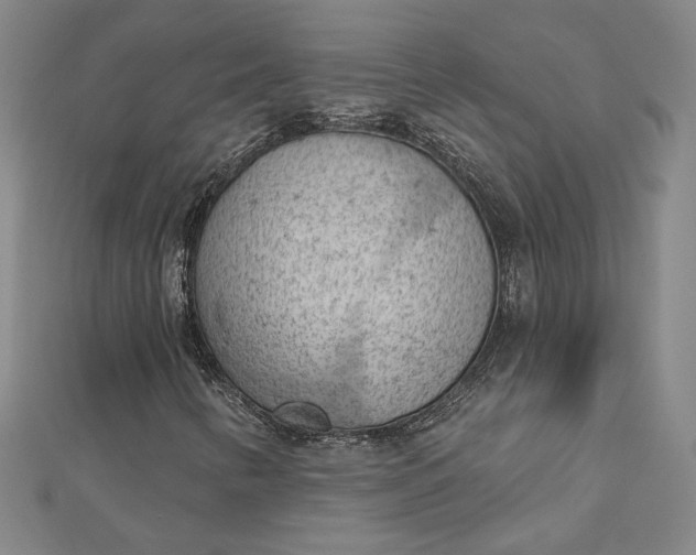 X0000112781346200909031621